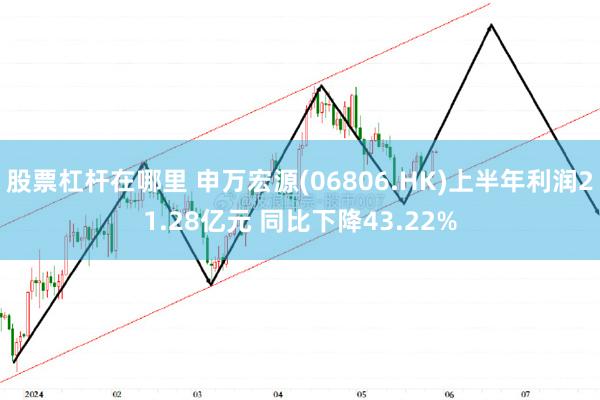 股票杠杆在哪里 申万宏源(06806.HK)上半年利润21.28亿元 同比下降43.22%