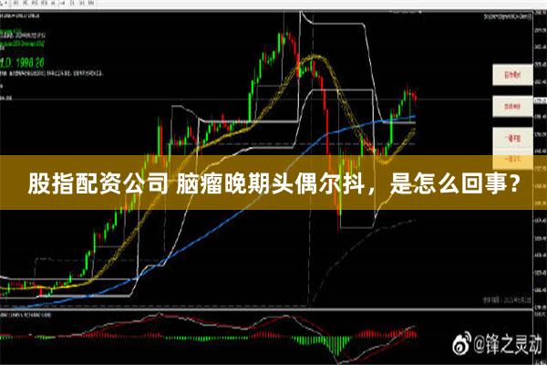 股指配资公司 脑瘤晚期头偶尔抖，是怎么回事？