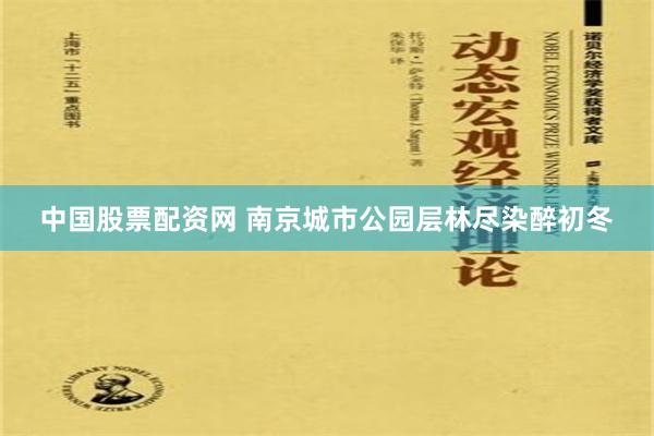 中国股票配资网 南京城市公园层林尽染醉初冬