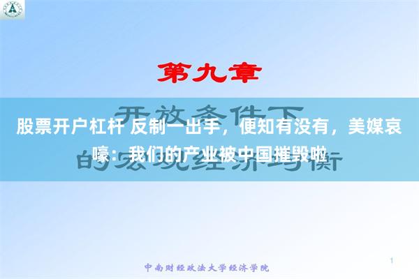 股票开户杠杆 反制一出手，便知有没有，美媒哀嚎：我们的产业被中国摧毁啦