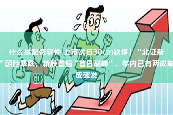 什么是配资软件 上市次日30cm跌停！“北证新秀”翻脸暴跌，新股普遍“首日巅峰”，年内已有两成破发